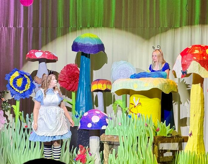 High School performers playscript