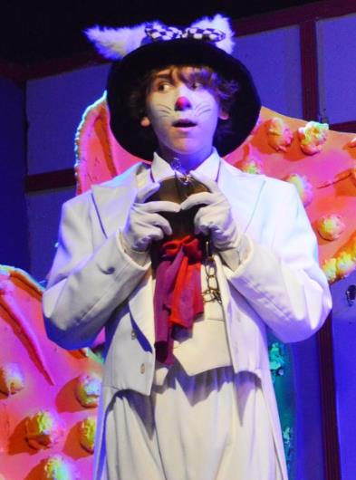 Alice in Wonderland Play for young audiences