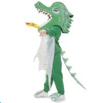 Kids Dragon costume