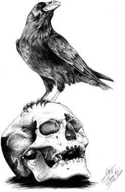 The Raven on Edgar Allan Poe Play for Kids