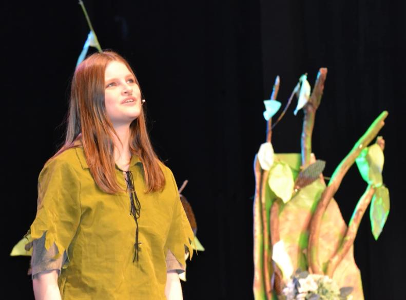 Classic Robin Hood Play for kids