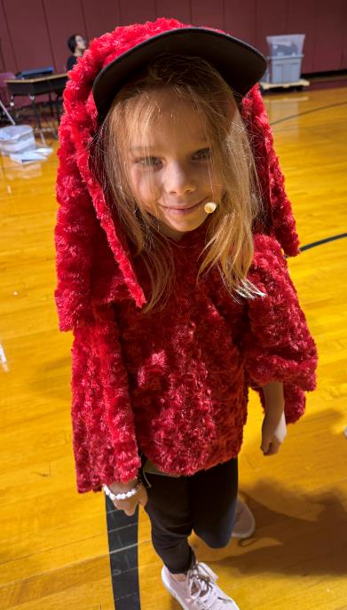 The Velveteen Rabbit Play